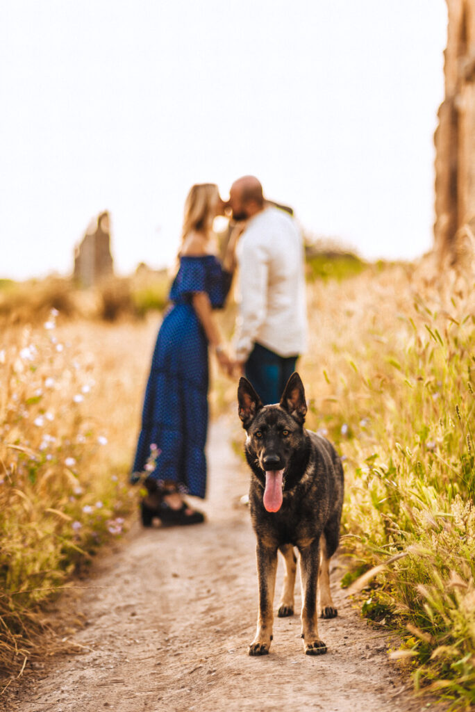 Engagement e Pet photography a Roma